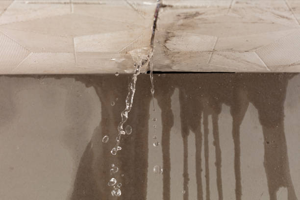 Professional Flood Damage Cleanup technician working in Highland, MD